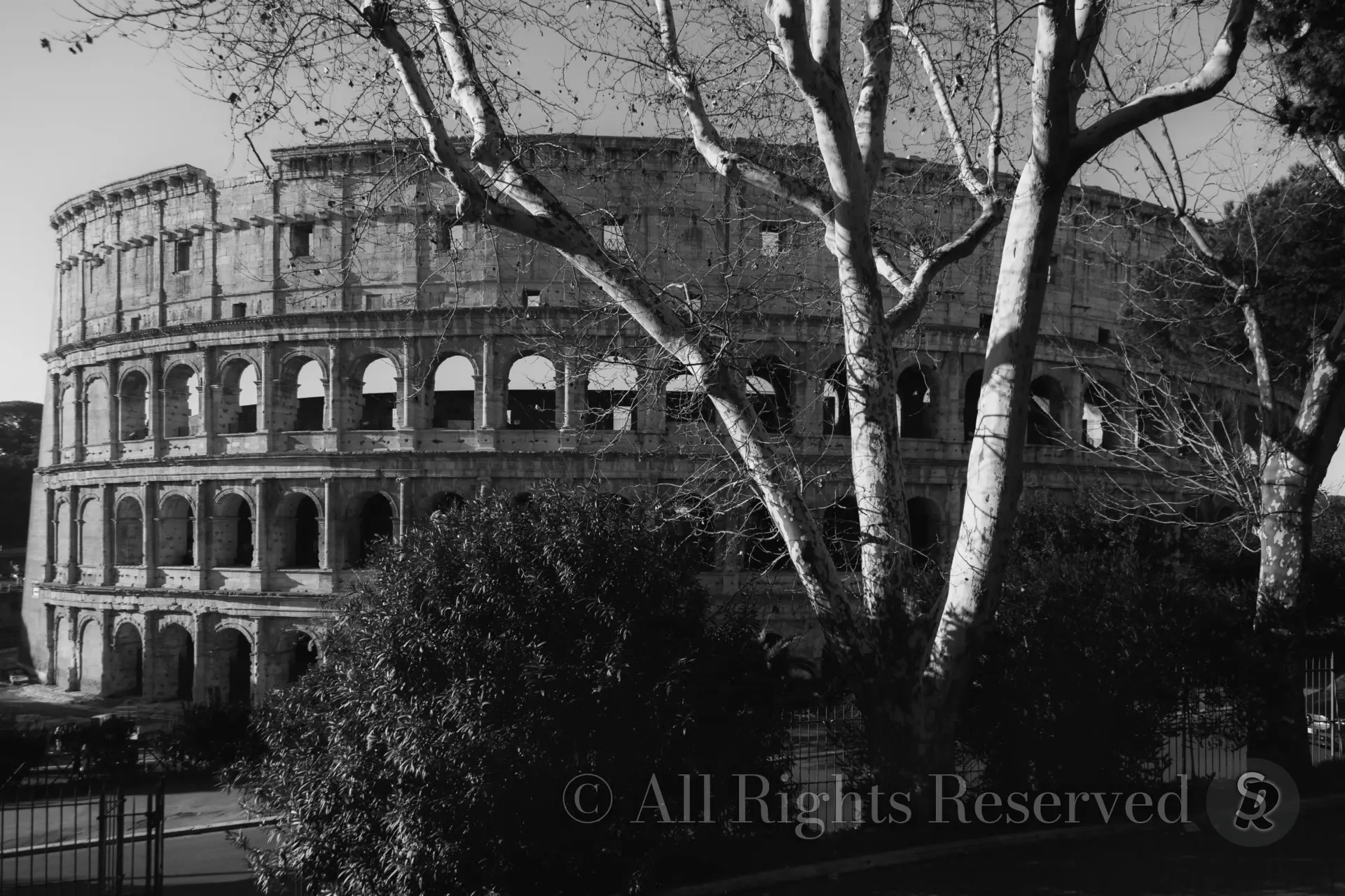 Roma, Italy. Colosseo