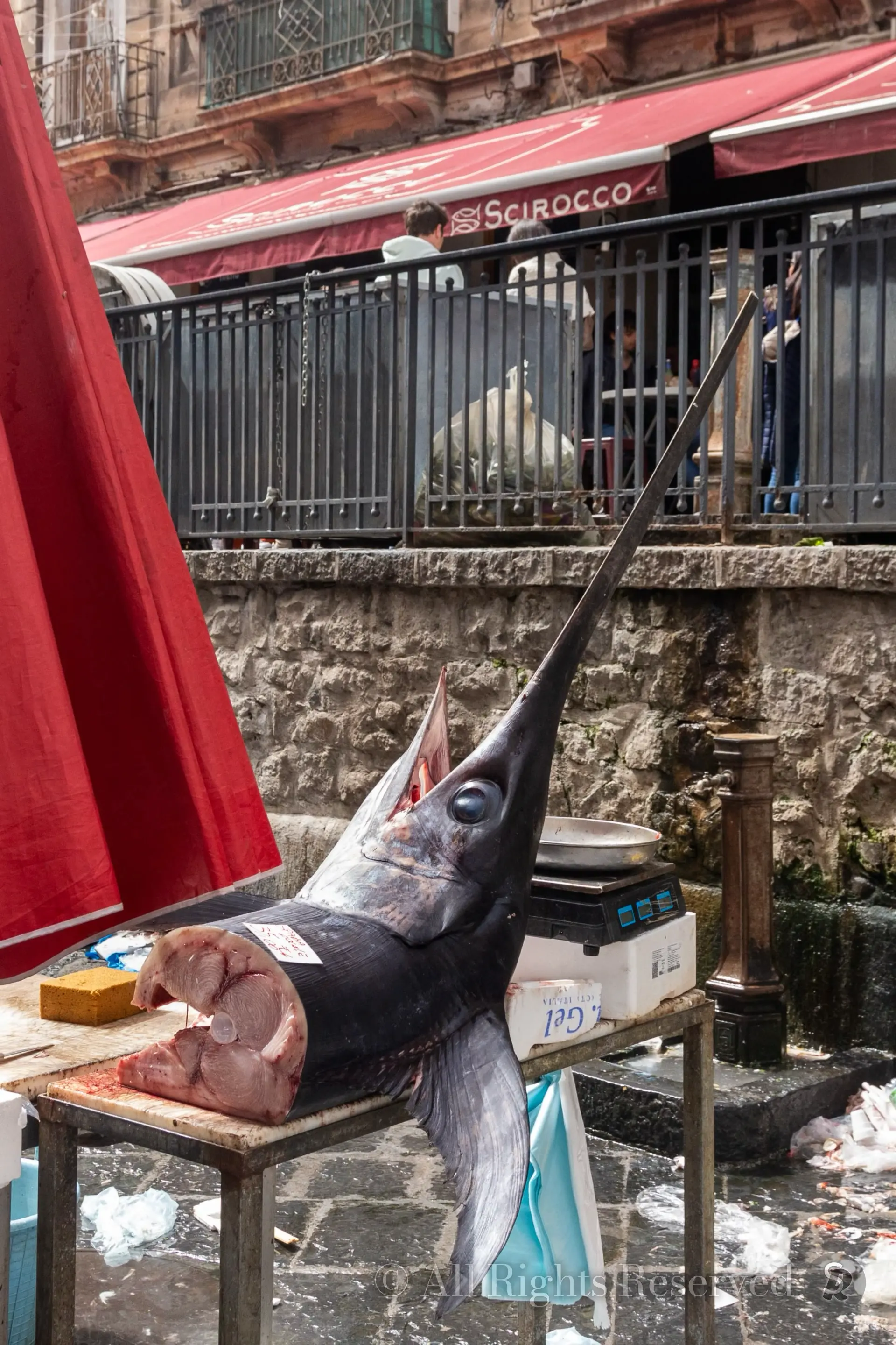 Sicilia, Pescheria di Catania. Pescespada, swordfish
