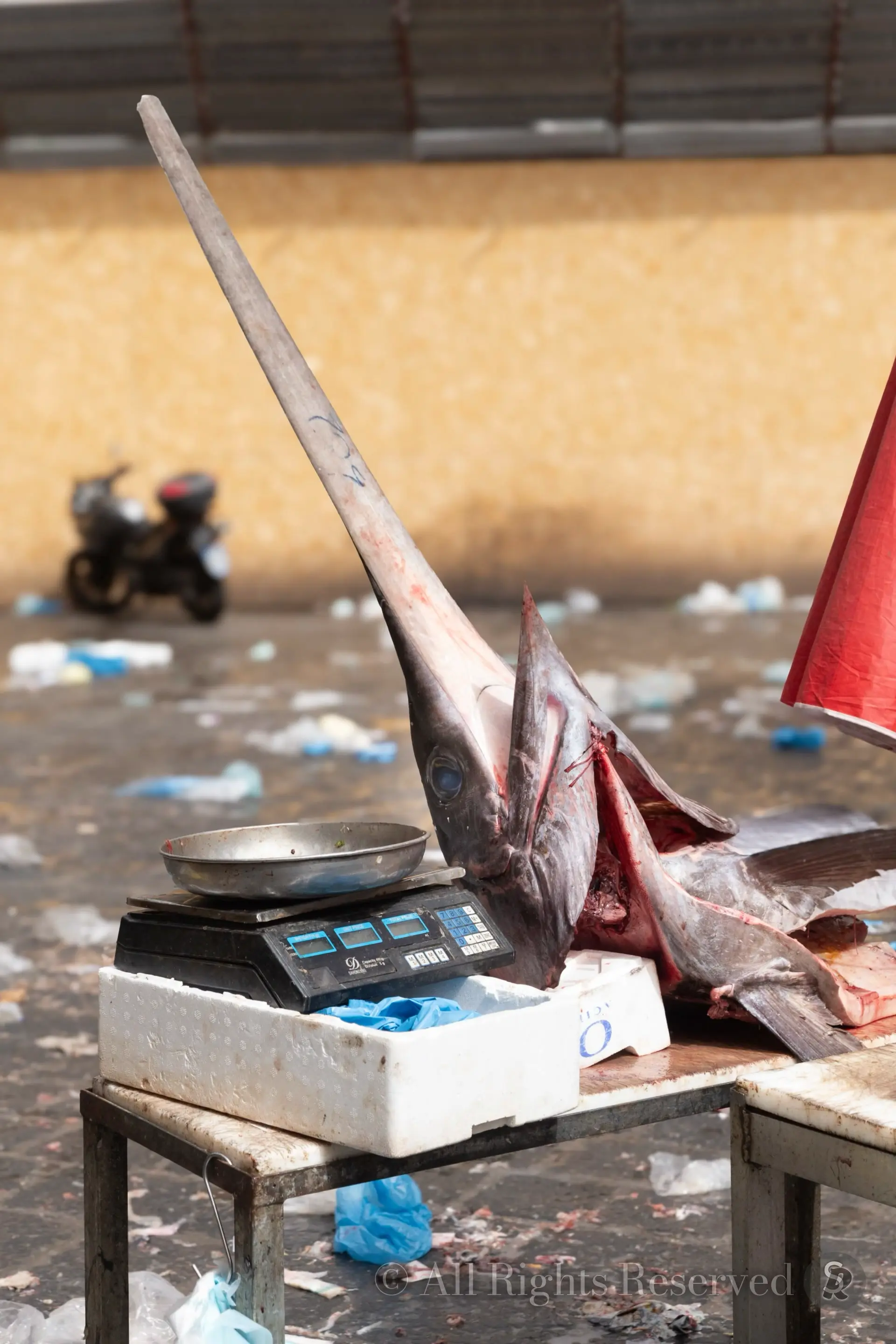 Sicilia, Pescheria di Catania. Pescespada, swordfish
