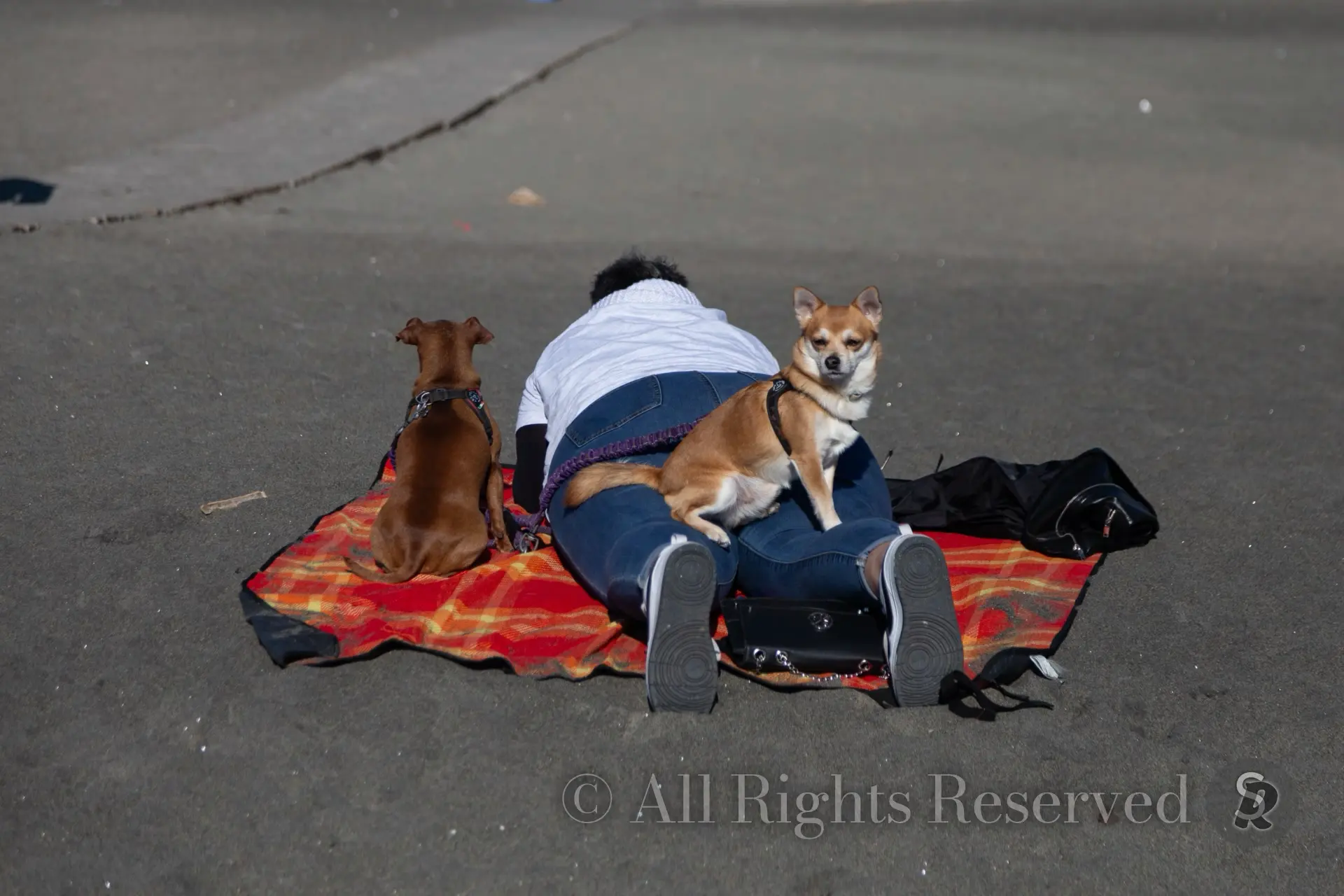 Rome, Italy. Litorale romano, Ostia